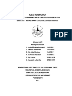 Makalah Epmtm Kelompok 2 (Virus II)