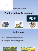 Plant Structure & Transport: Second Year Science