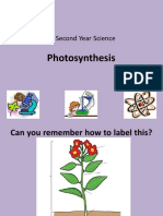 Photosynthesis: Second Year Science