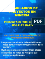 Formulacion de Proyectos en Mineria PDF