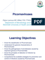 Picornaviruses.pptx
