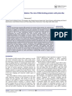 Long-Term Memory Consolidation: The Role of RNA-binding Proteins With Prion-Like Domains