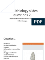 12. REVISION QUESTION .pptx