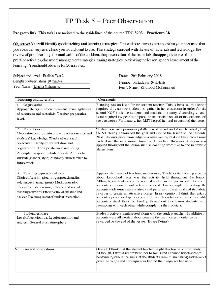 College observation essay example image