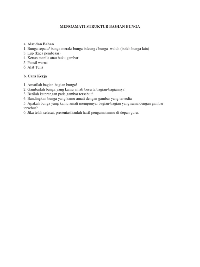 Gambar  Bunga  Bakung Dan  Bagian  Bagiannya  Gambar  Ngetrend   Gambar  Bunga  Bakung Dan  Bagian  Bagiannya  Gambar  Ngetrend