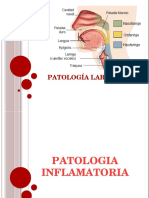 Patologias Laringeas Crónicas e Inflamatorias