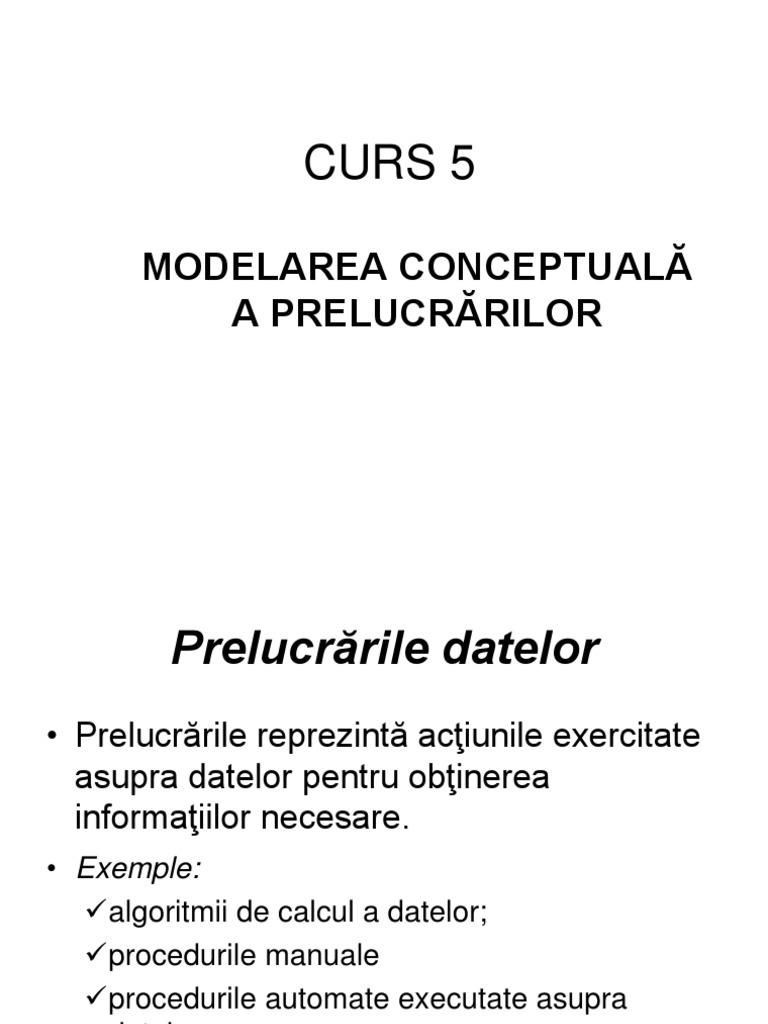 Modelul Conceptual al Prelucrărilor | PDF