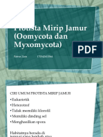 Protista Mirip Jamur