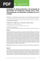 Avaliação Do Desenvolvimento e Da Produção de Flavonoides de Kalanchoe