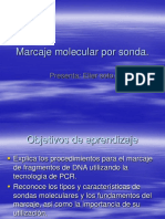 7.8 Marcaje sondas PCR.ppt