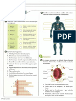 Taller Sistema Inmunologico PDF
