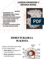 Corion Frondoso