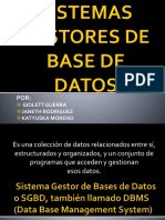 Sistema Gestor de Bases de Datos