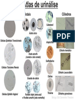 Atlas Da Urina para Microscóspia PDF