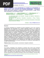 _36_051836_antes_1809_conjuntivitis_DEFINITIVO_08_05_2018 1