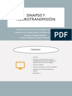 Sinapsis y Neurotransmisión FINAL