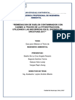 Remediación de suelos contaminados con cadmio en Orcotuna a través de la fitoextracción