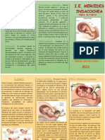 Triptico El Parto PDF