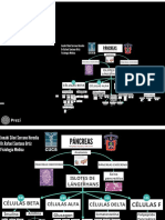 Pancreas Exposición Final PDF