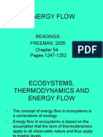 Ecosystems, Thermodynamics and Energy Flow