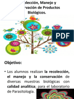 RECOLECCIÓN-MANEJO-Y-CONSERVACIÓN-DE-PRODUCTOS-BIOLÓGICOS.pptx