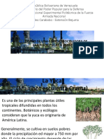 Diseño Planta de Yuca