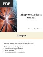 Sinapse e Condução Nervosa