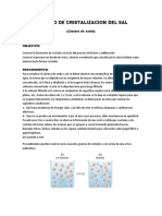 Proceso de Cristalizacion Del Sal Informe Quimica