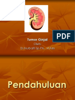 Tumor Ginjal