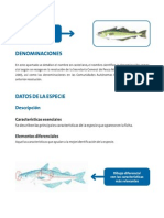Guía FROM -Pescados y Mariscos - Consejos