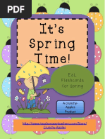 Its Springtime Esl Flashcards