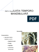 Artic Temporo Mandibulara2014