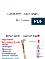 Connective Tissue Chart: Mrs. Donohue