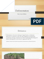 Deforestation: Facts, Causes & Effects