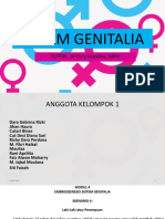 Genitalia Pleno