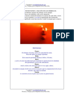 Manual de Terapeuta de Reiki Karuna 1 y 2 PDF