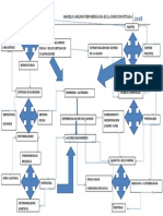 Fenomenologá de la condición situada