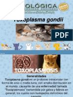 Toxoplasmosis