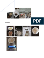 Protein Foto PDF