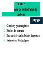 Metabolismo de Los Hidratos de Carbono