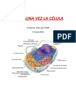 Proyecto Celula Trabajo