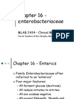 microlect13enterobacteriaceae.ppt