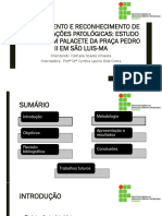 Slides Monografia