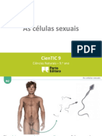CTIC N2 - As Células Sexuais