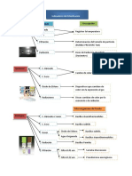 Indicadores de Esterilización Mapa Conceptual Ma Angeles