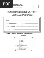 Evaluacion Sumativa Vertebrados Ciecias Naturales 2012