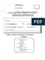 Evaluacion Sumativa Vertebrados Ciecias Naturales 2012