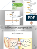 Seminario 16