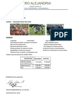 Ctizacion Corregida PDF