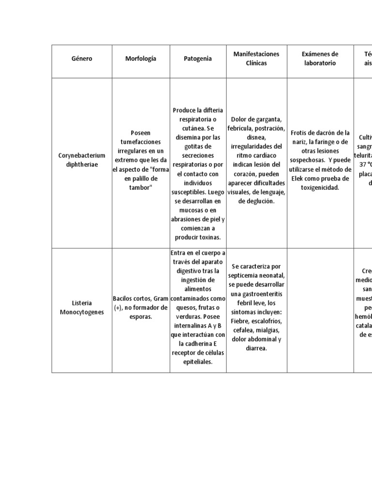 Bacilos Gram Positivos | PDF | Organismos | Medicina